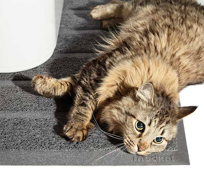 Litter Mat - Image 7