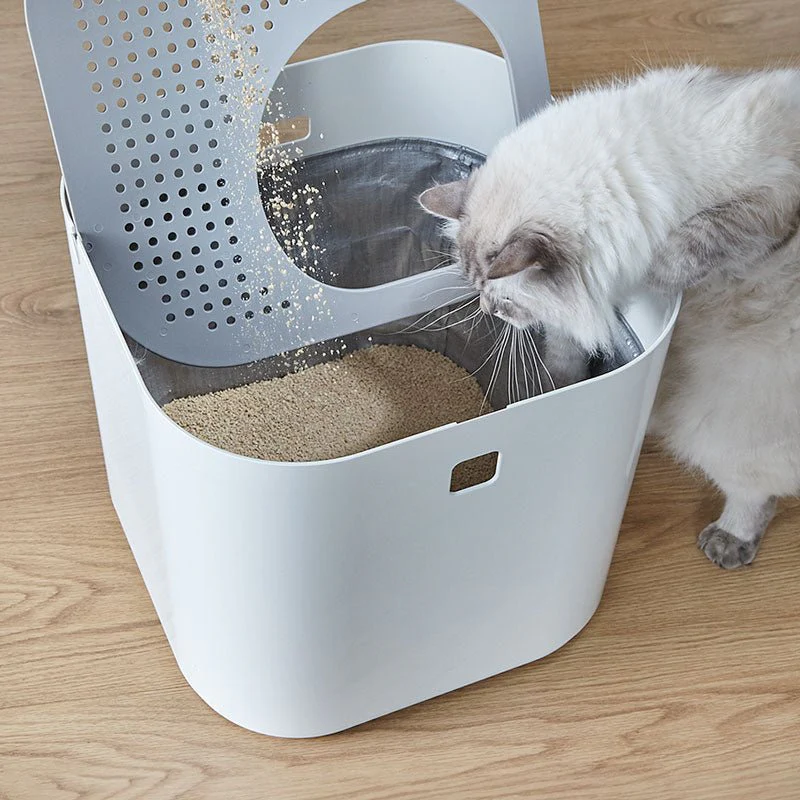 Modkat - Image 4