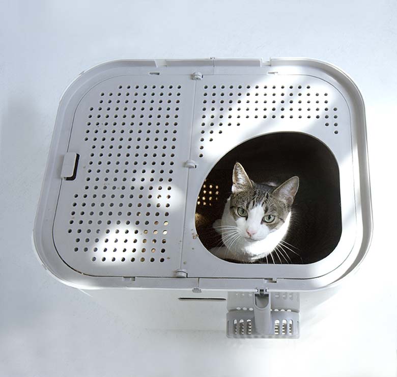 Modkat XL - Image 4